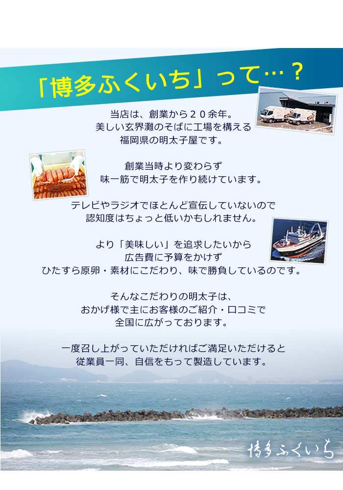 NEW-250_お試しめんたい250g