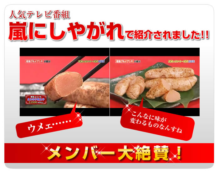 メディア情報_2012-06-16_arashi