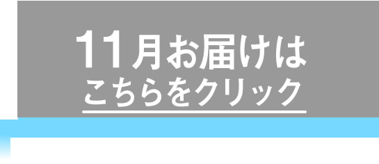 11月お届け