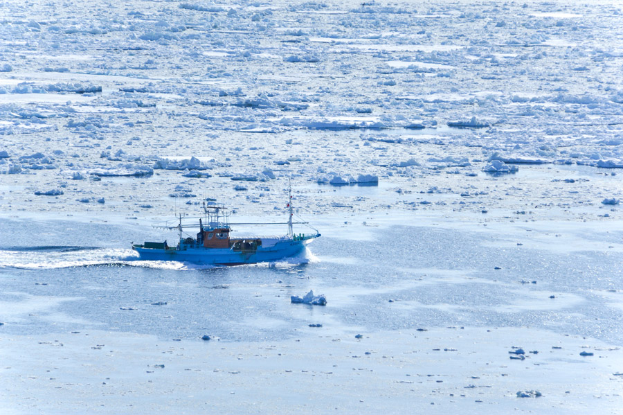 至宝の素材を求めて、極寒の地へ