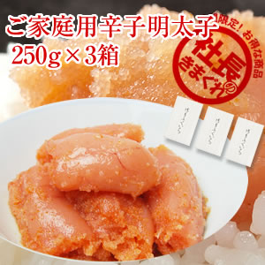 家庭用250×3