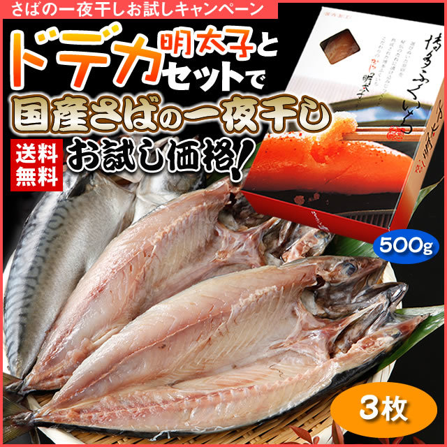 ドデカ明太子+さばお試しセット
