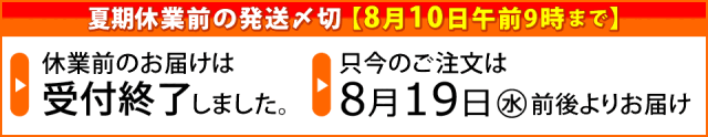 夏期休業前ご案内
