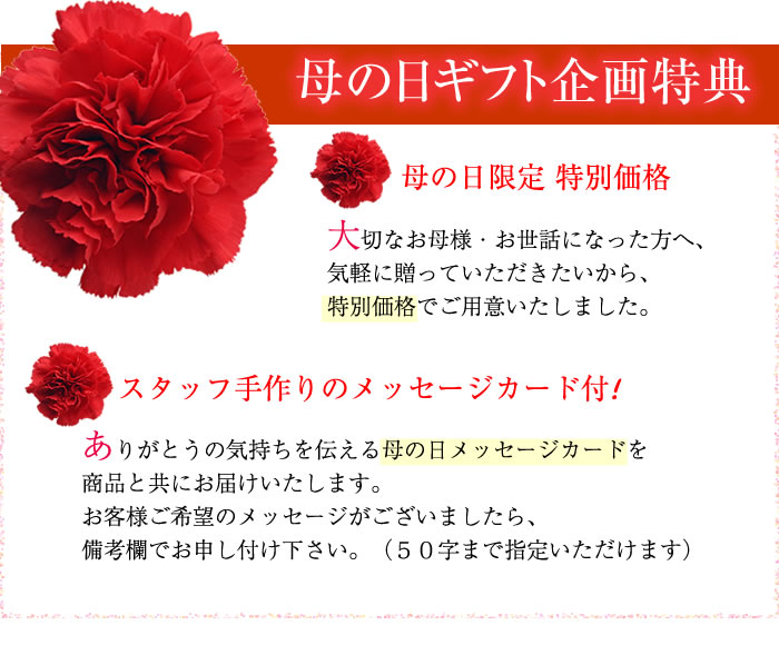 母の日2018