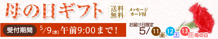 母の日2018