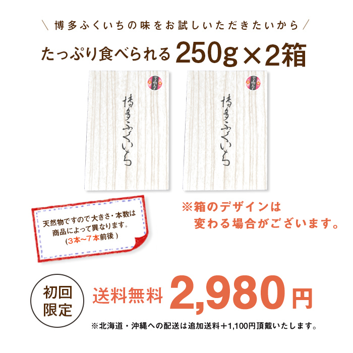 NEW-250_お試しめんたい250g