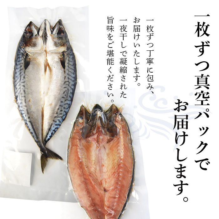 国産さばの一夜干し（3枚）化粧箱入 株式会社 博多ふくいち